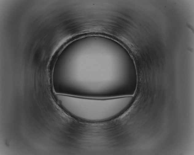 X0000093171118200709261050