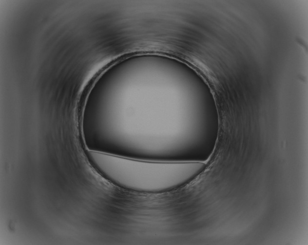 X0000093171120200709261050