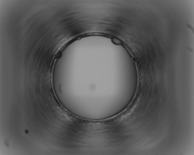 X0000093171121200709261050