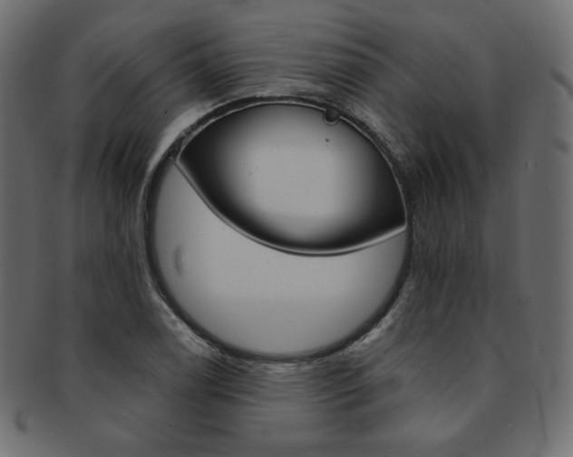 X0000093171122200709261050