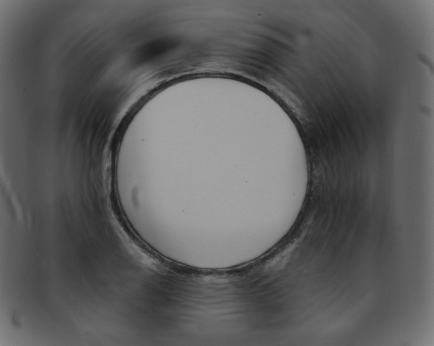 X0000093171126200709261050