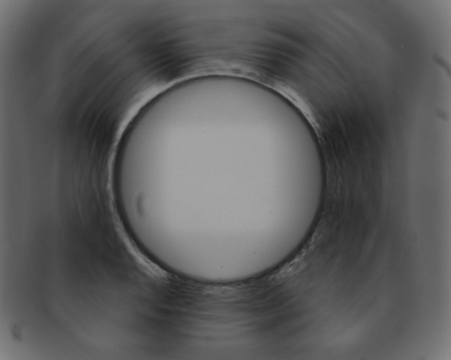 X0000093171128200709261050