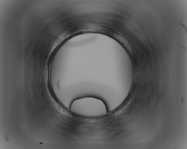 X0000093171130200709261050
