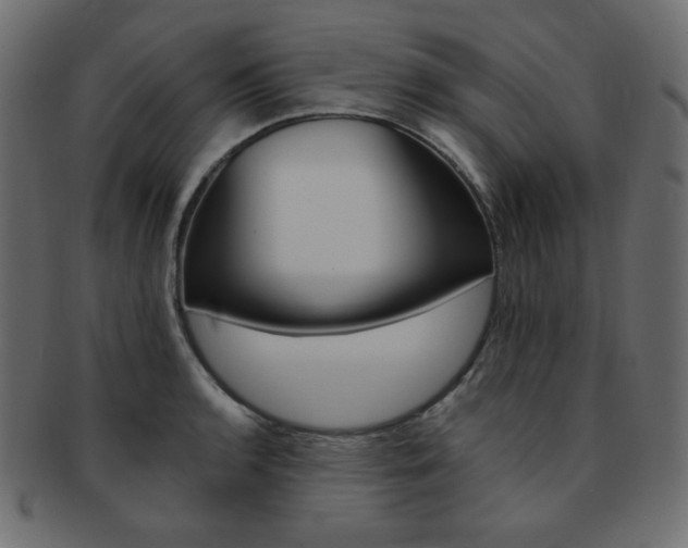 X0000093171136200709261050