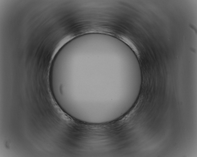 X0000093171138200709261050