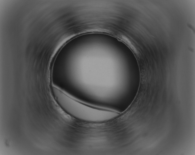 X0000093171140200709261050