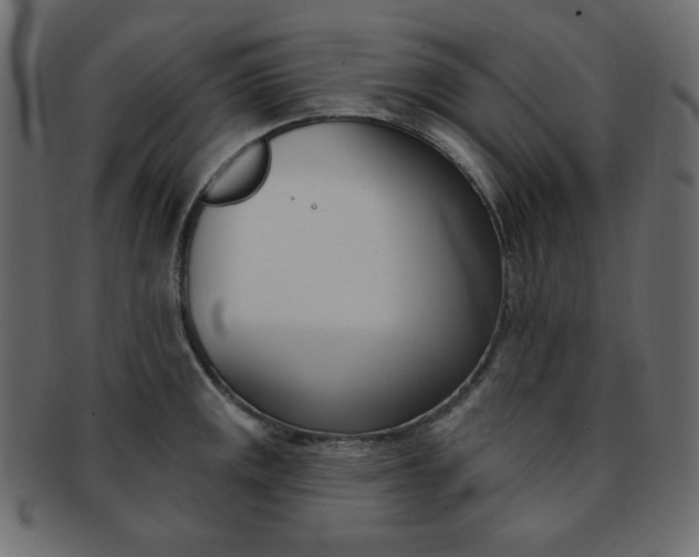 X0000093171141200709261050