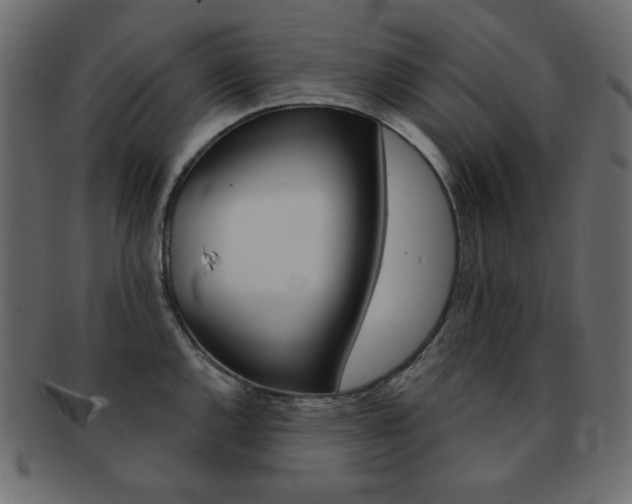 X0000093171144200709261050