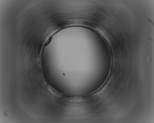 X0000093171145200709261050