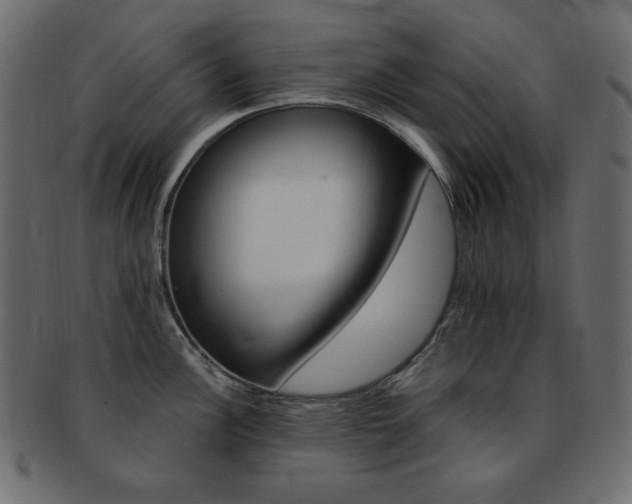 X0000093171148200709261050