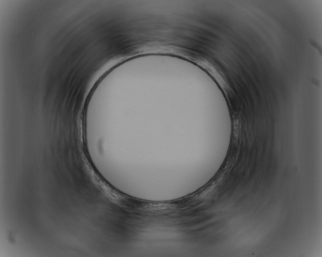 X0000093171150200709261050