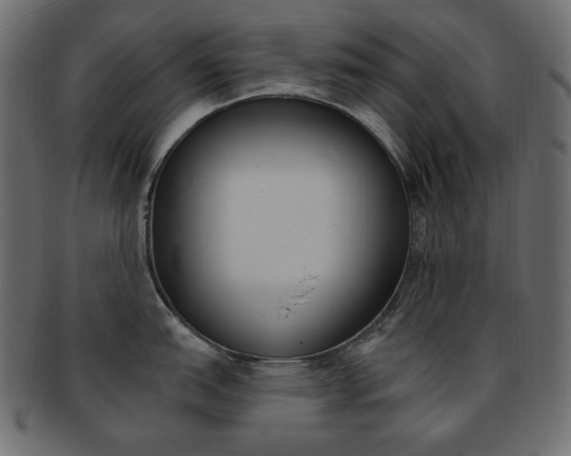 X0000093171151200709261050