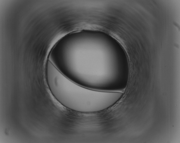 X0000093171152200709261050