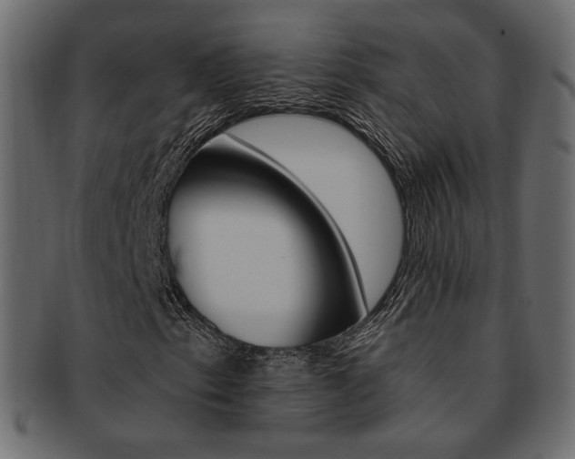 X0000093171153200709261050
