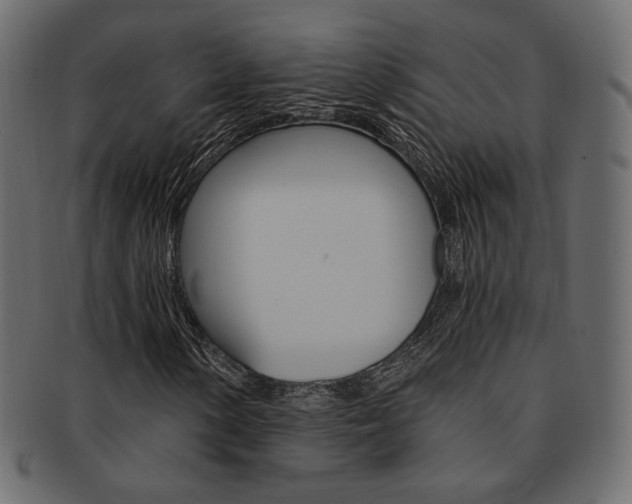 X0000093171154200709261050