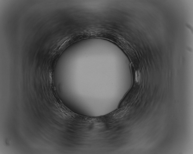 X0000093171155200709261050