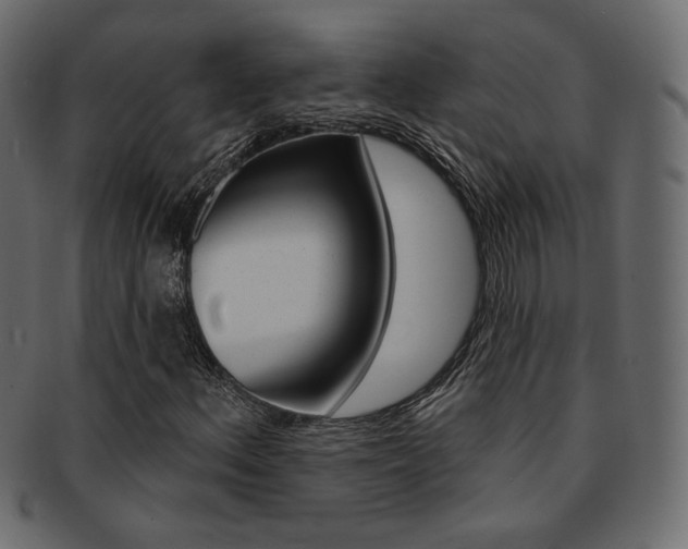 X0000093171156200709261050