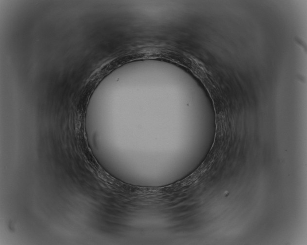 X0000093171158200709261050