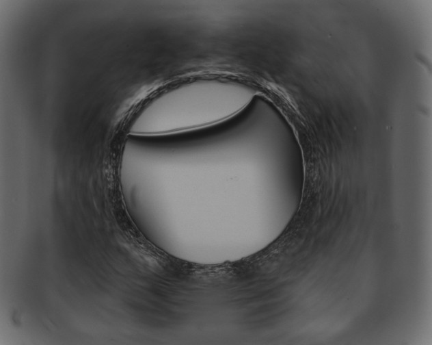 X0000093171159200709261050
