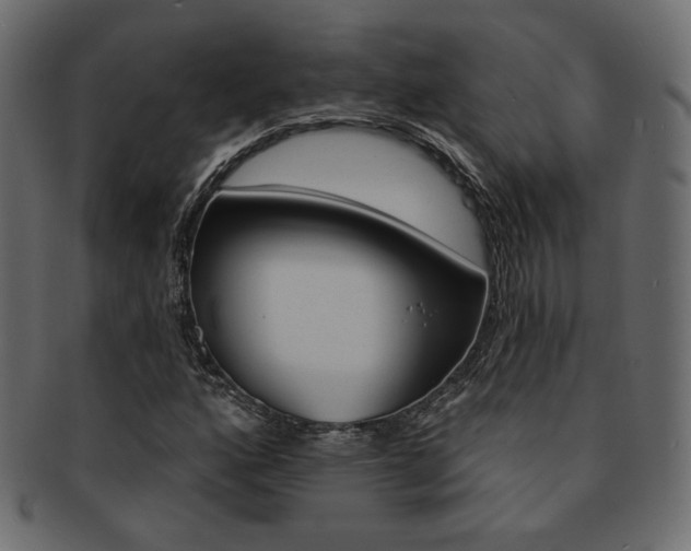 X0000093171160200709261050
