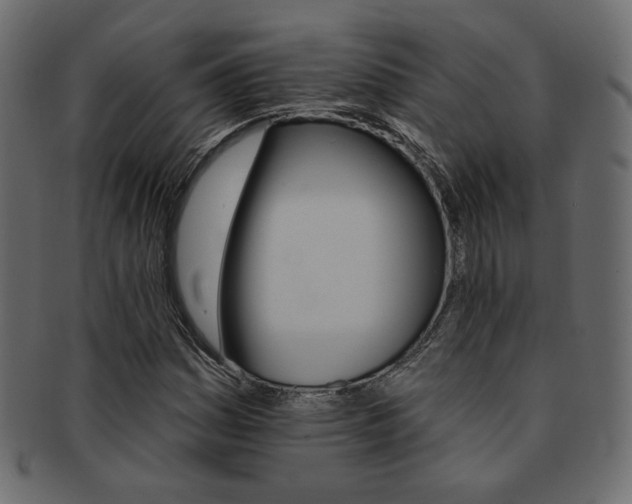 X0000093171161200709261050