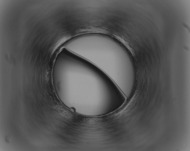 X0000093171163200709261050