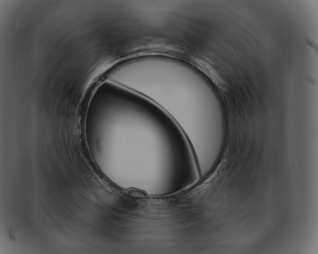 X0000093171164200709261050