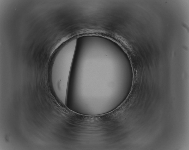 X0000093171165200709261050