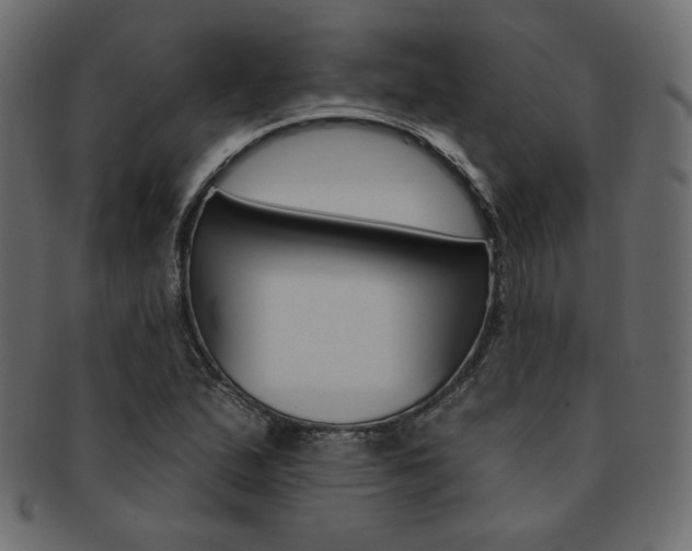X0000093171167200709261050