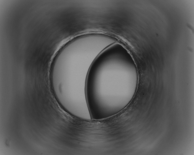 X0000093171168200709261050