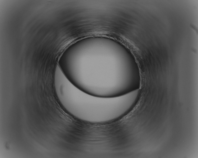 X0000093171169200709261050