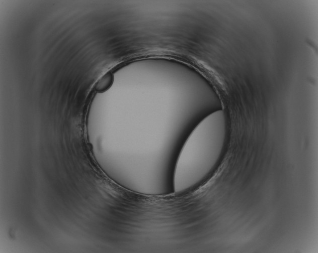X0000093171170200709261050