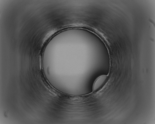 X0000093171171200709261050