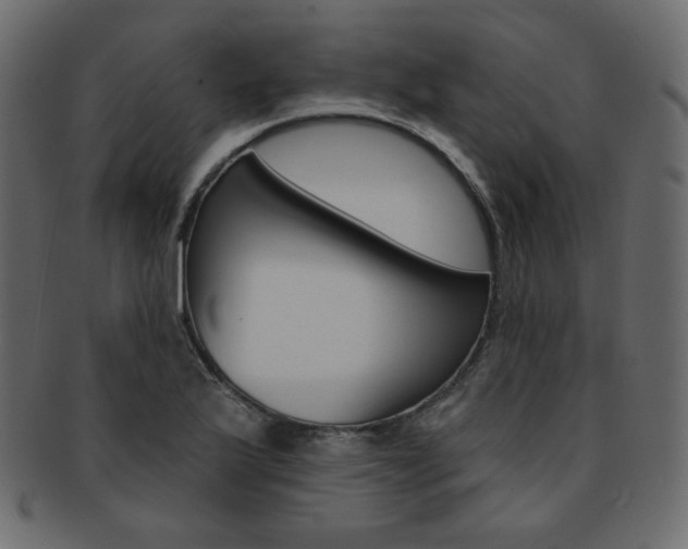 X0000093171175200709261050