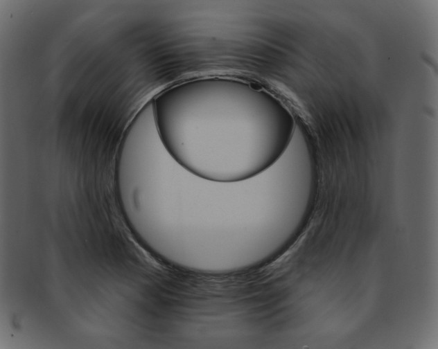X0000093171177200709261049