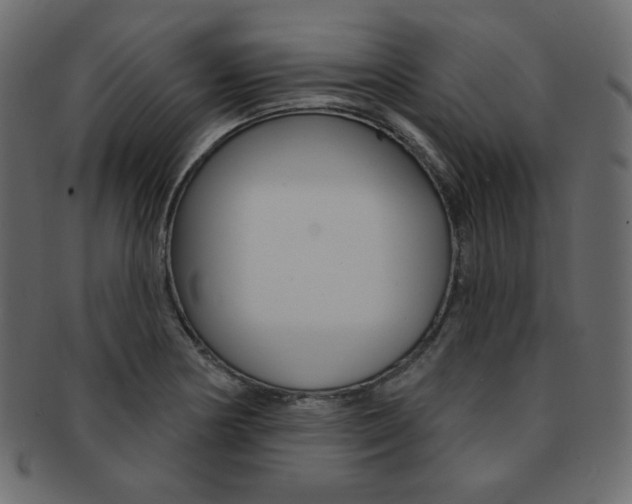 X0000093171178200709261049