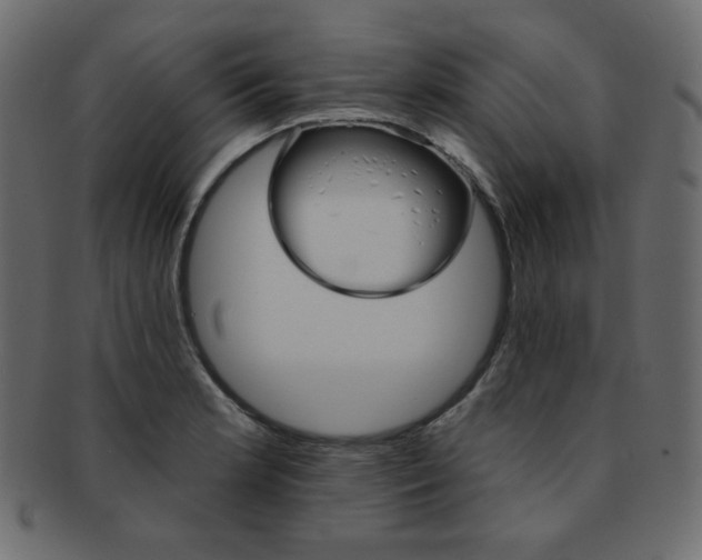 X0000093171181200709261049