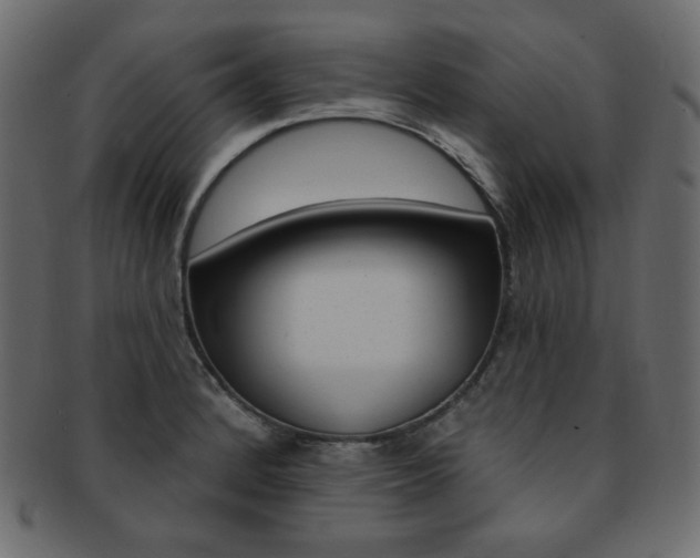 X0000093171184200709261049