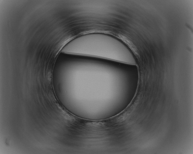 X0000093171185200709261049