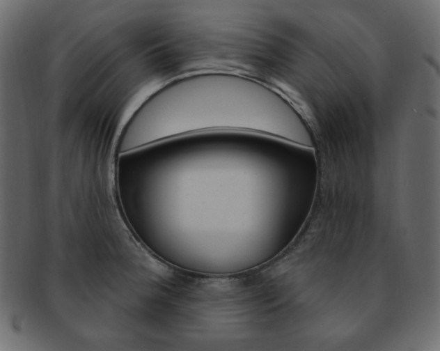 X0000093171188200709261049
