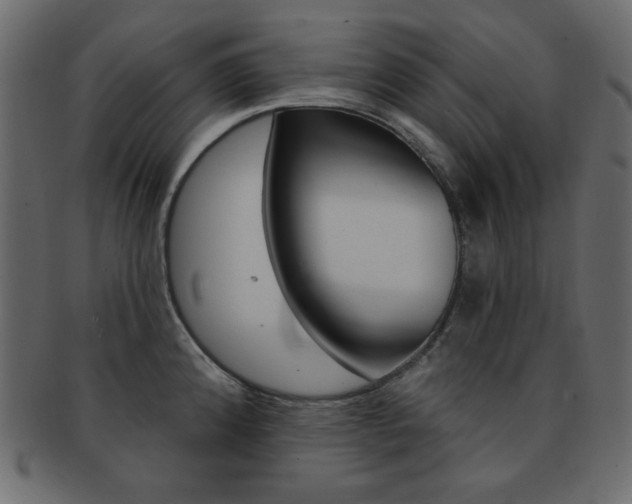 X0000093171192200709261049