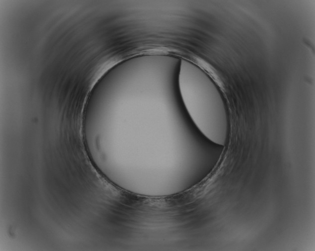 X0000093171194200709261049