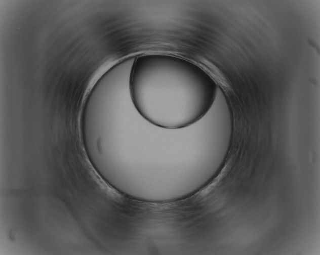 X0000093171196200709261049