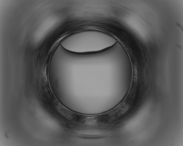 X0000093171198200709261049
