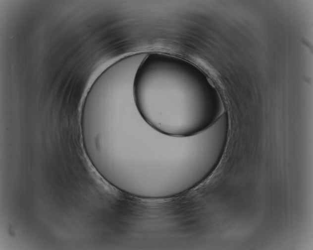 X0000093171200200709261049