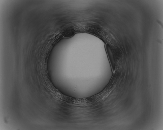 X0000093171201200709261049