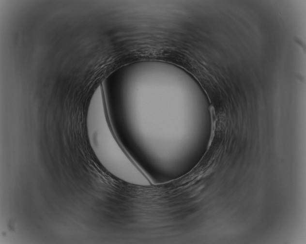 X0000093171202200709261049