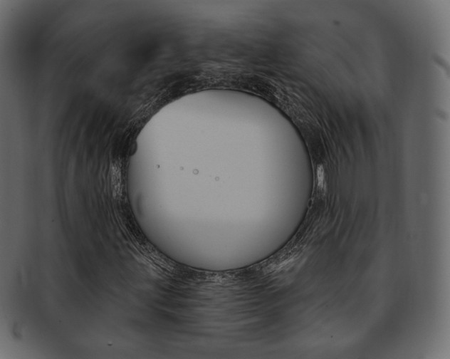 X0000093171203200709261049
