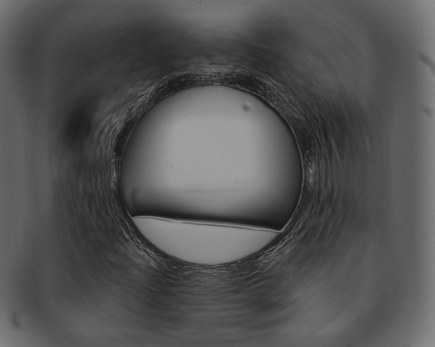 X0000093171204200709261049
