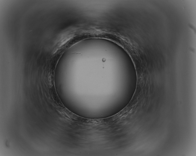 X0000093171205200709261049